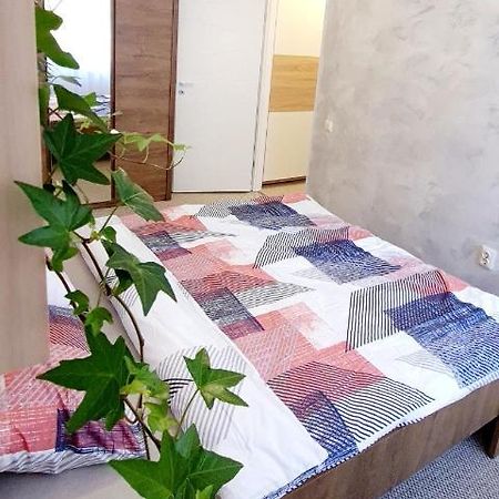 Larisa Apartment 클루지나포카 외부 사진